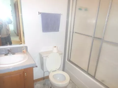 65 Crocus Ln, Matteson, IL 60443 photo 5