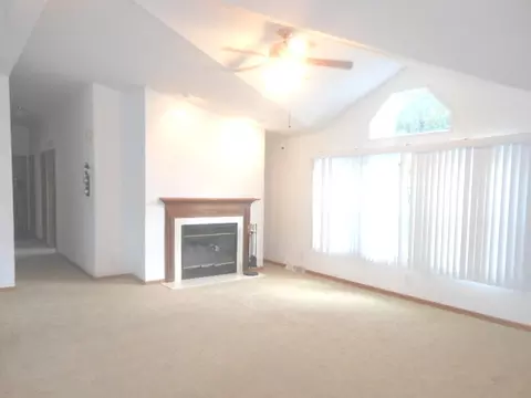 65 Crocus Ln, Matteson, IL 60443 photo 9