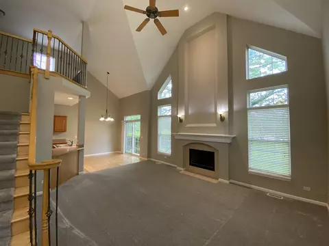 11900 Winterberry Ln, Plainfield, IL 60585 photo 39