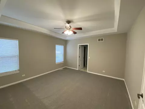 11900 Winterberry Ln, Plainfield, IL 60585 photo 16