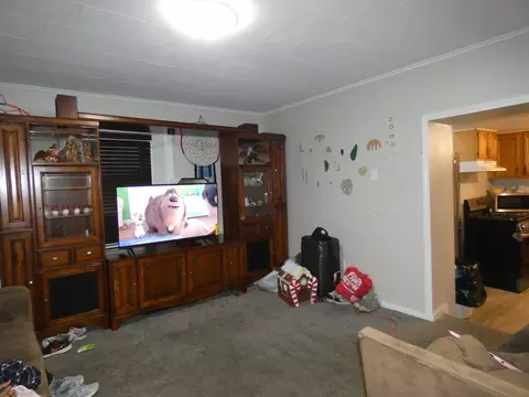 373 N Adams St, Kankakee, IL 60901 photo 4