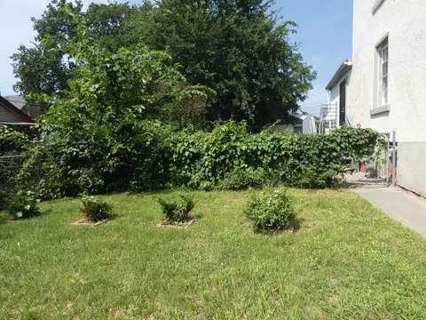 373 N Adams St, Kankakee, IL 60901 photo 29
