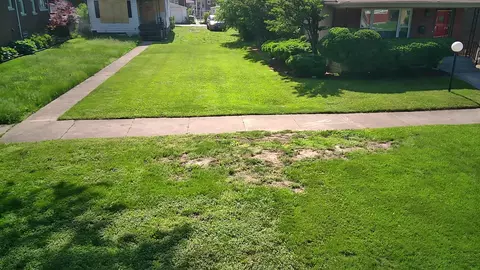 7736 S Indiana Ave, Chicago, IL 60619