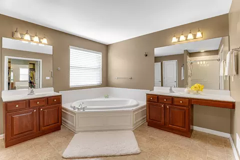 Bath - 24307 Sheffield Ln, Plainfield, IL 60585 photo 2 of 3