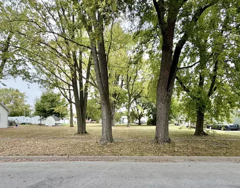 313 E Orchard St, Forrest, IL 61741