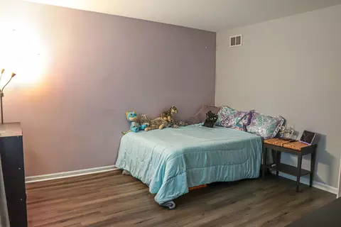407 Keller St, Plano, IL 60545 photo 35