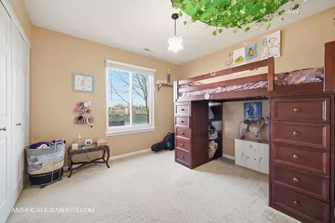 3306 Veronica St, Plano, IL 60545 photo 39