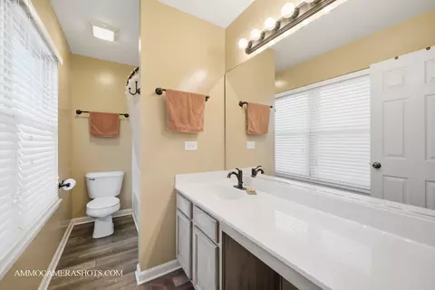 3306 Veronica St, Plano, IL 60545 photo 38