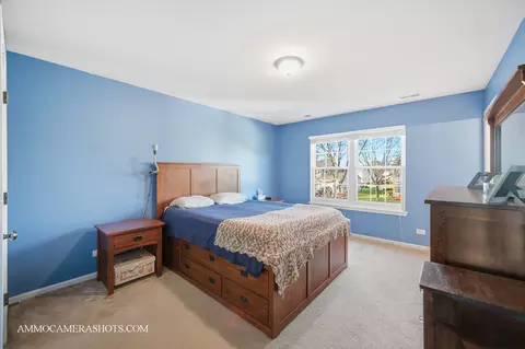 3306 Veronica St, Plano, IL 60545 photo 37