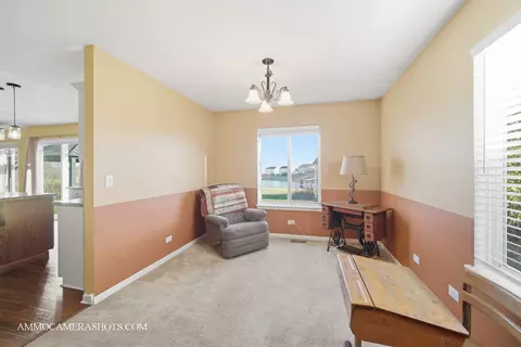 3306 Veronica St, Plano, IL 60545 photo 27