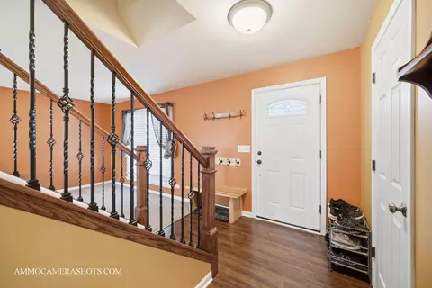 3306 Veronica St, Plano, IL 60545 photo 24