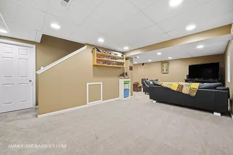 3306 Veronica St, Plano, IL 60545 photo 46