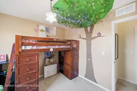 3306 Veronica St, Plano, IL 60545 photo 40
