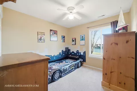 3306 Veronica St, Plano, IL 60545 photo 41