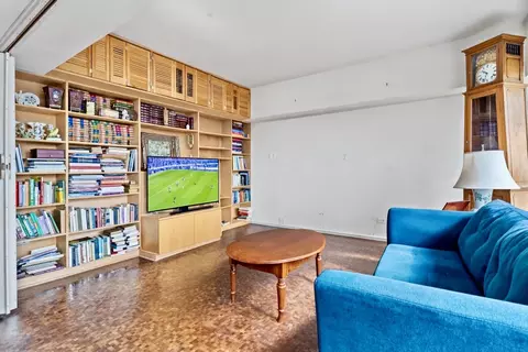Living - 175 E Delaware Pl #7008, Chicago, IL 60611 photo 6 of 7