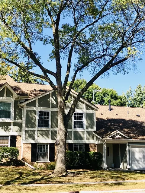 22 Waterbury Ln #N1, Schaumburg, IL 60193