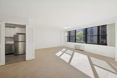 Undisclosed, Chicago, IL 60611 photo 5