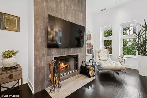 Living - 42 E Schiller St, Chicago, IL 60610 photo 5 of 6