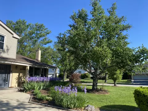 3537 Maple Leaf Dr, Glenview, IL 60026 photo 2