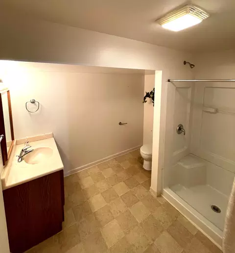 25022 Steeple Chase Dr, Plainfield, IL 60585 photo 23