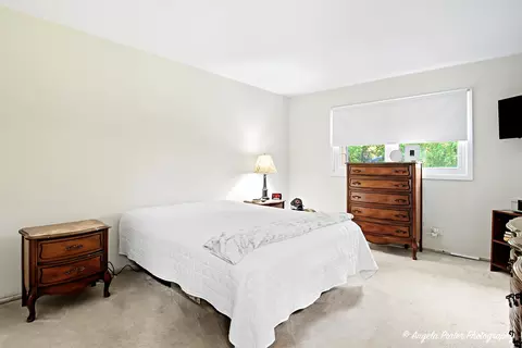 34726 N Mudjekeewis Ter, Mchenry, IL 60051 photo 28
