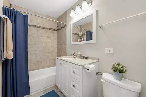 Bath - 4101 Owl Dr, Rolling Meadows, IL 60008 photo 2 of 2
