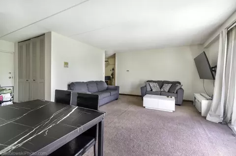577 Fairway View Dr #1J, Wheeling, IL 60090 photo 11