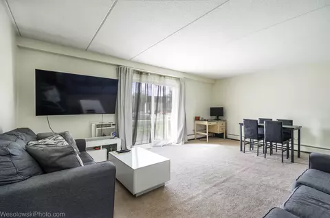 577 Fairway View Dr #1J, Wheeling, IL 60090 photo 8