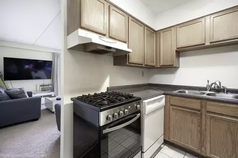 577 Fairway View Dr #1J, Wheeling, IL 60090 photo 6