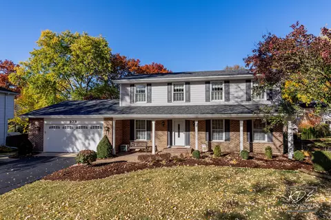 923 Tim Tam Cir, Naperville, IL 60540