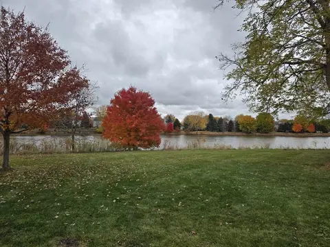 1513 Elder Dr, Aurora, IL 60506 photo 26
