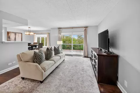 Living - 555 S River Rd #301, Des Plaines, IL 60016 photo 3 of 4