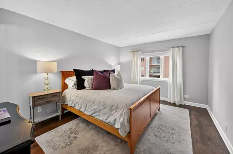 Bedroom - 555 S River Rd #301, Des Plaines, IL 60016 photo 1 of 4