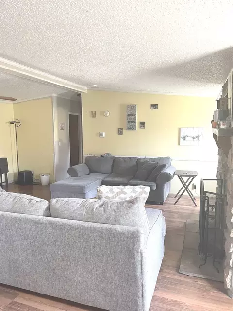 11 Willow St, Dewey, IL 61840 photo 2