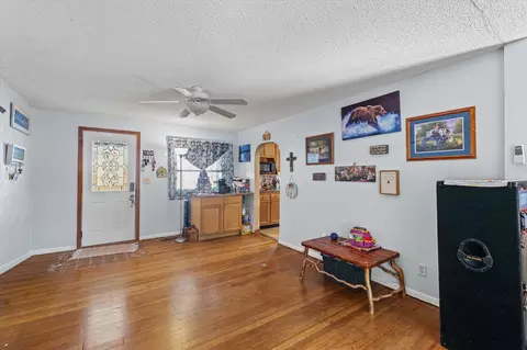 Other - 133 W William St, Bement, IL 61813 photo 3 of 10