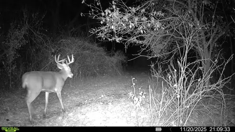 Other - 0 Winters Rd, Maple Park, IL 60151 photo 30 of 37