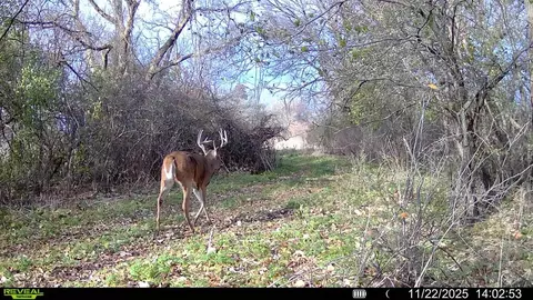 Other - 0 Winters Rd, Maple Park, IL 60151 photo 29 of 37