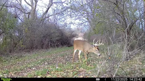 Other - 0 Winters Rd, Maple Park, IL 60151 photo 25 of 37