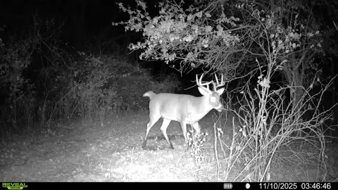 Other - 0 Winters Rd, Maple Park, IL 60151 photo 33 of 37