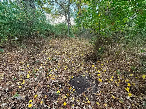 Other - 0 Winters Rd, Maple Park, IL 60151 photo 17 of 37