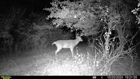 Other - 0 Winters Rd, Maple Park, IL 60151 photo 27 of 37