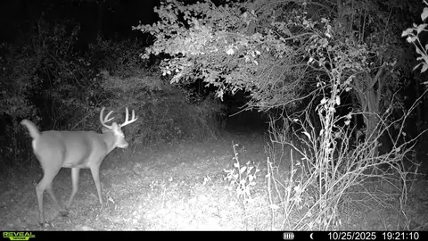 Other - 0 Winters Rd, Maple Park, IL 60151 photo 26 of 37
