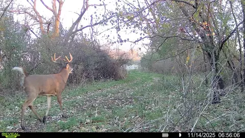 Other - 0 Winters Rd, Maple Park, IL 60151 photo 31 of 37