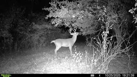 Other - 0 Winters Rd, Maple Park, IL 60151 photo 28 of 37