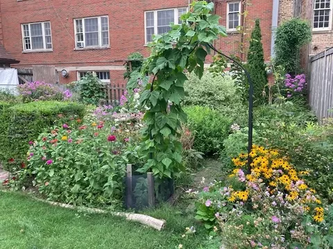 Exterior - 5247 N Wayne Ave, Chicago, IL 60640 photo 9 of 19