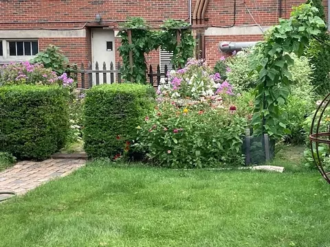Exterior - 5247 N Wayne Ave, Chicago, IL 60640 photo 10 of 19