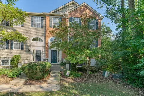 161 Patrick Ave, Willow Springs, IL 60480