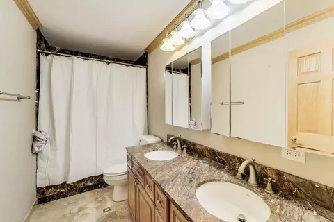 Bath - 1206 Lathrop Ave, River Forest, IL 60305 photo 4 of 5