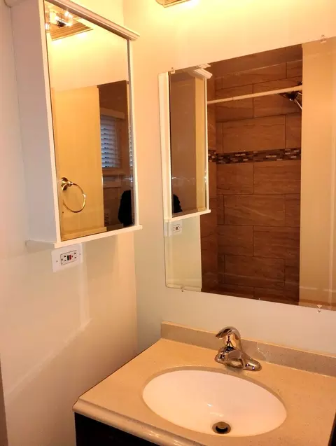 Bath - 371 S Edison Ave, Elgin, IL 60123 photo 3 of 4