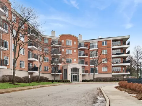 451 Town Place Cir #411, Buffalo Grove, IL 60089